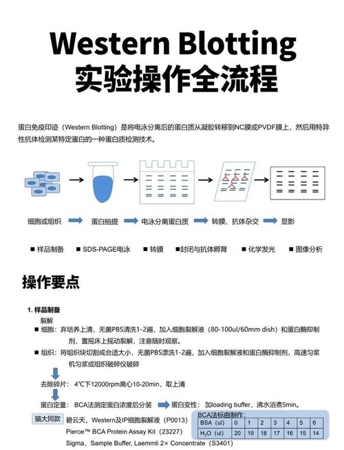 我第一次线下技术分享的经历是怎样的？