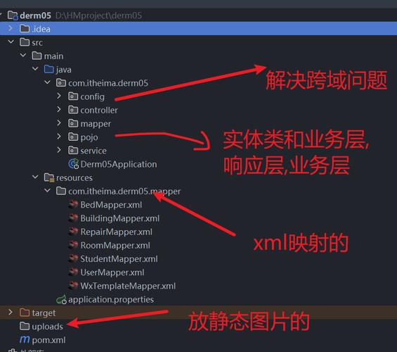如何运用Mybatis和Lombok实现高效复杂查询？