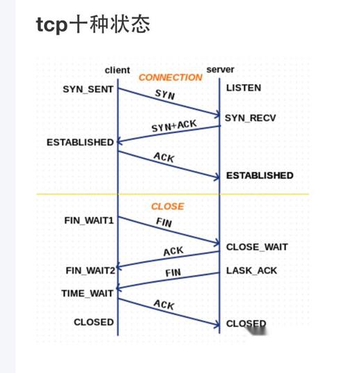TCP三次握手和四次挥手的过程是怎样的？