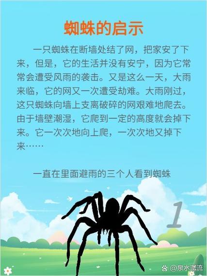 百度蜘蛛究竟偏爱哪些优质内容呢？