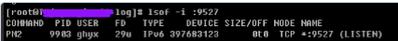 如何在Linux系统中精确查找并定位运行中的特定进程？