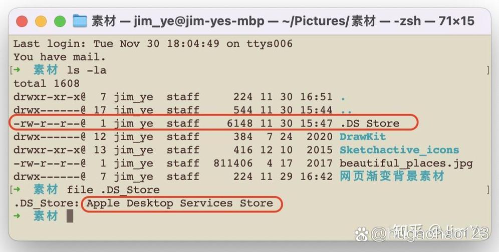 ThinkPHP中的DS指的是什么？