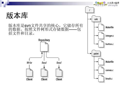 如何详细解析Jenkins中SVN源代码管理的具体步骤？