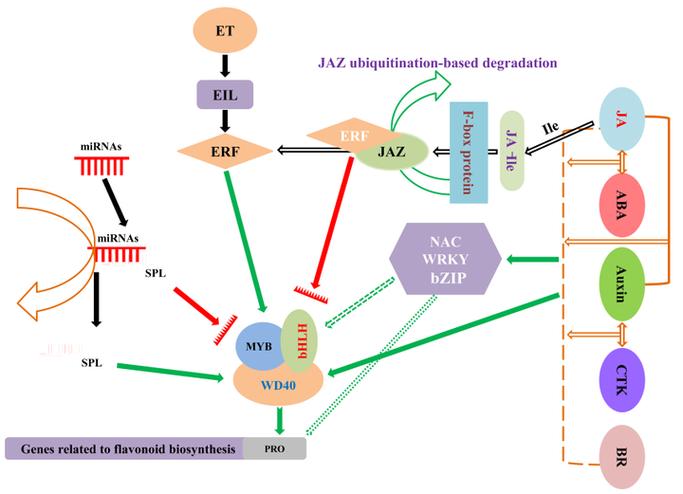 ECMAScript 5中数组的map()方法有何用途？
