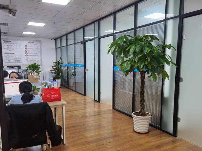 临淄网站建设公司，卓越数字体验的前沿引领者，哪家更专业呢？