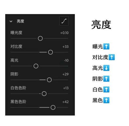 在vb.net中，如何设置colorDialog显示特定自定义颜色方案？