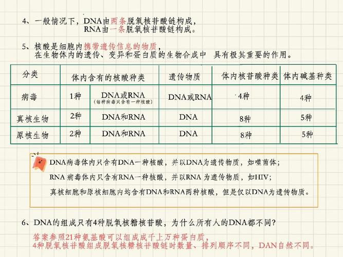 DNA序列中哪些特定碱基组合对应着特定的遗传信息？