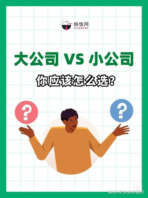 2010年6月11日发布的《选择大公司还是小公司》文章，如何针对不同职业发展路径进行决策？