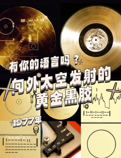 百度音乐Top500与Top100中，哪些歌曲隐藏着音乐宇宙的奥秘？