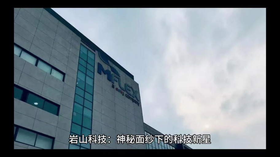 壁山专业网站建设哪家强，官方网深度解析及行业领军者探秘？