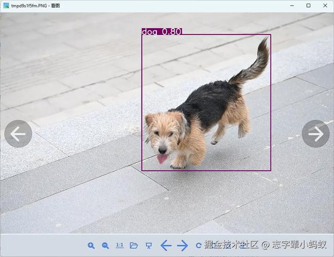 Python中的物体检测技术具体有哪些应用场景？