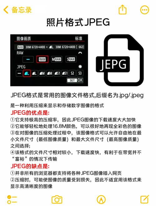 什么是raw文件格式指的是什么？