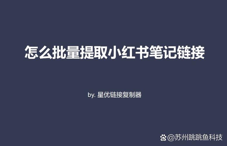 如何通过点击不追踪的链接，快速提升SEO效果？🔥