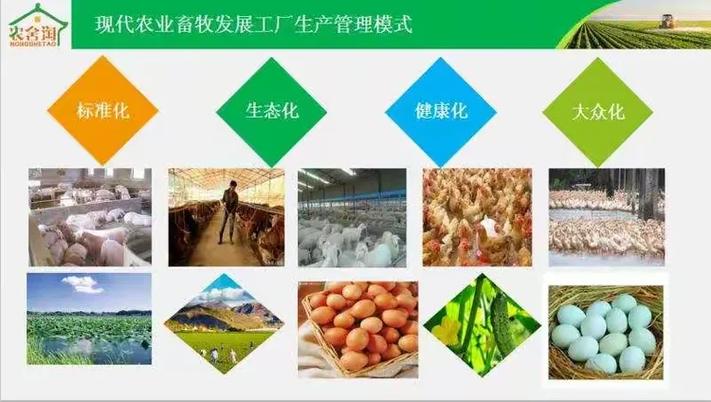 2018淘系新策略，快速崛起指南有哪些关键点？