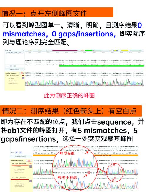 如何评估.Net core2.0中Log4net与Nlog日志组件在性能测试中的长尾词差异？
