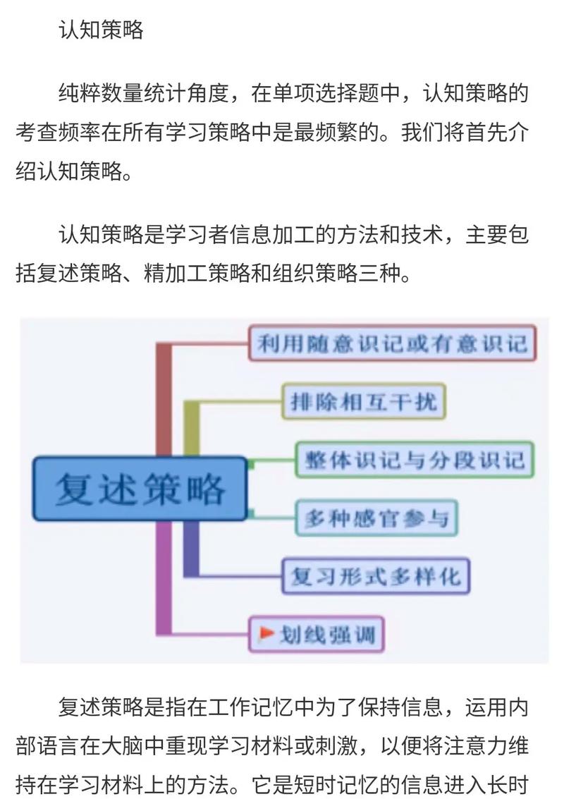 如何制定有效的网页设计考试策略和内容学习指南？