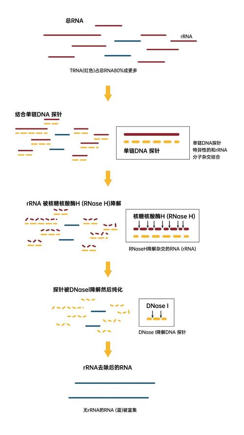 如何生成一个完整的ndarray实例实例？