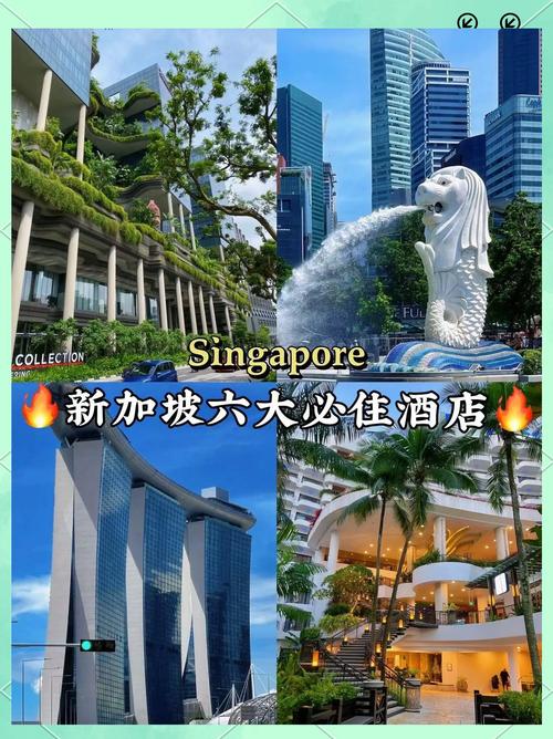 新加坡2026年口碑最佳服务商是哪家？哪家服务商最靠谱？🔥