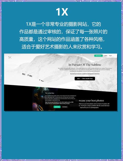 2026年，如何挑选靠谱的摄影网站建设公司？🔍十大专业服务商推荐！