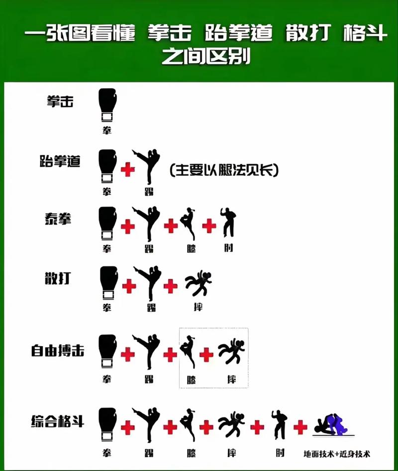 哪种格斗项目与哪种格斗项目在技巧和规则上有什么不同之处？