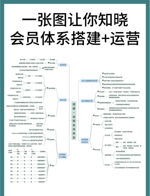 如何构建会员体系，实现用户精准化管理与个性化服务？