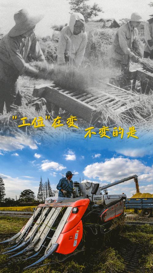 工程机械人十大苦楚，我坚守，我心怀自豪？