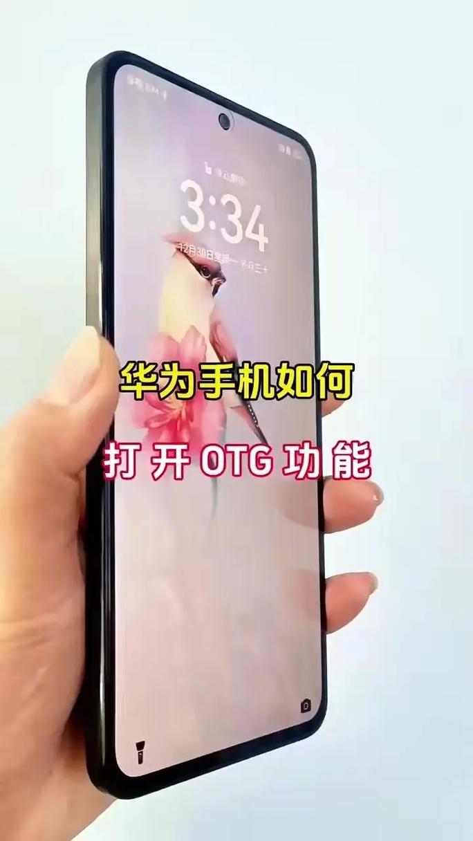 如何正确使用手机OTG功能进行安装操作？
