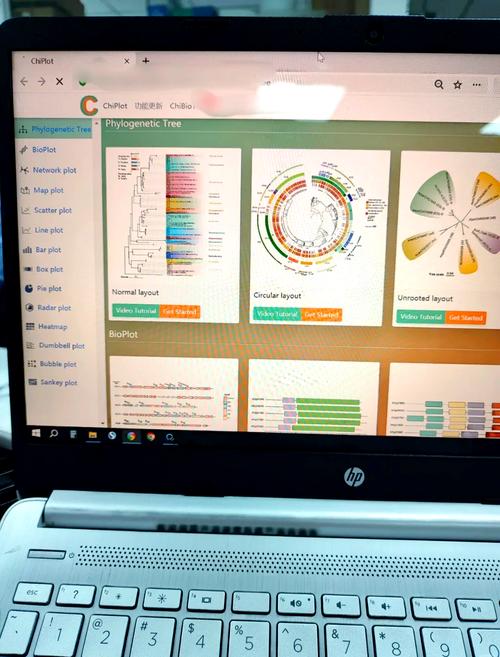 数据库中实现数据可视化的工具叫什么名称？