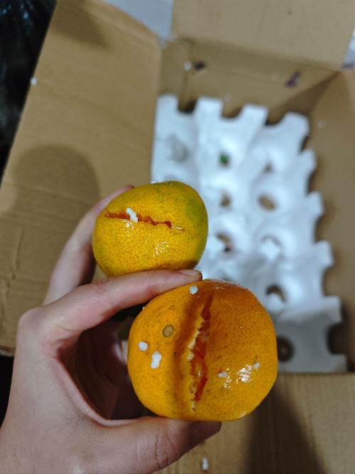 拼多多里藏着什么宝贝，一句话就能吸引眼球，引发抢购热潮？
