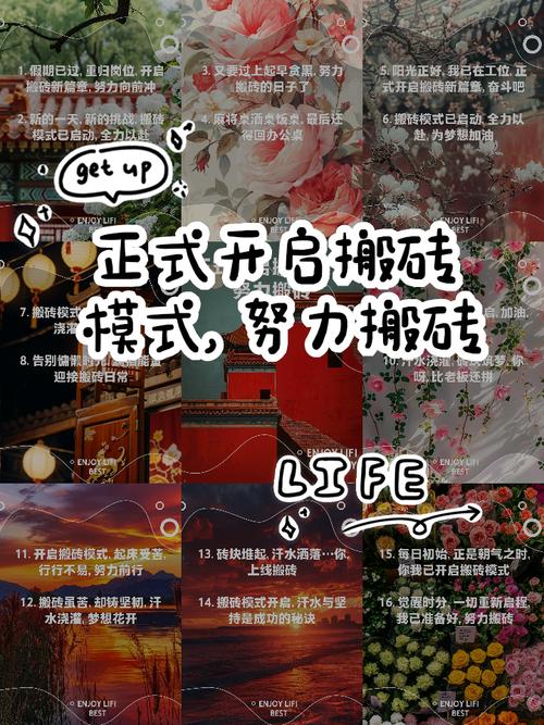 如何快速掌握搬砖项目，成为新手速成达人？