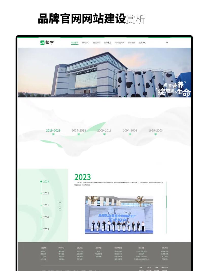 哪家专业企业网站设计公司是行业领军者，探索翘楚之作？