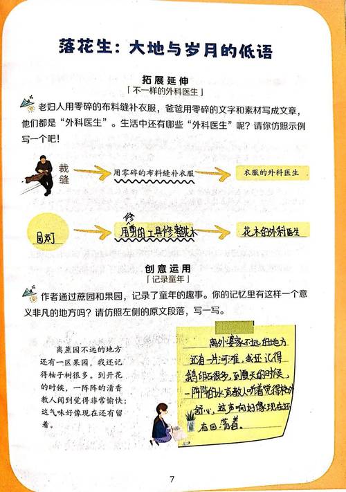 如何通过长尾词策略，在《西瓜书》和《南瓜书》第5章中实现高效内容优化？