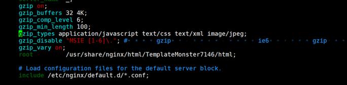 如何通过Nginx gzip指令优化网站压缩效果？