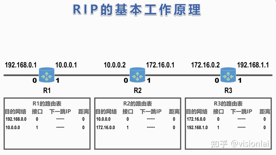 RIP协议在动态路由中扮演什么角色？