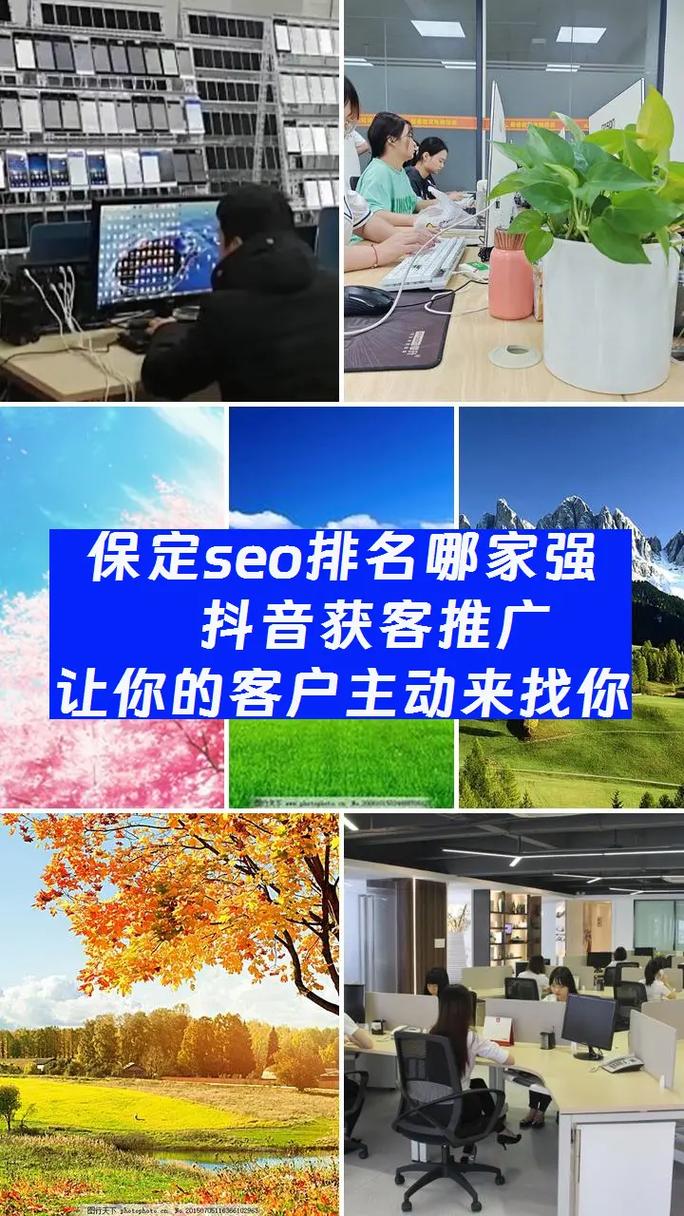 保定SEO关键词优化价格，哪家公司专业高效服务更值得信赖？