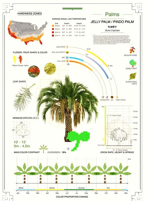 自然保护区植物数据库包含哪些具体植物种类？