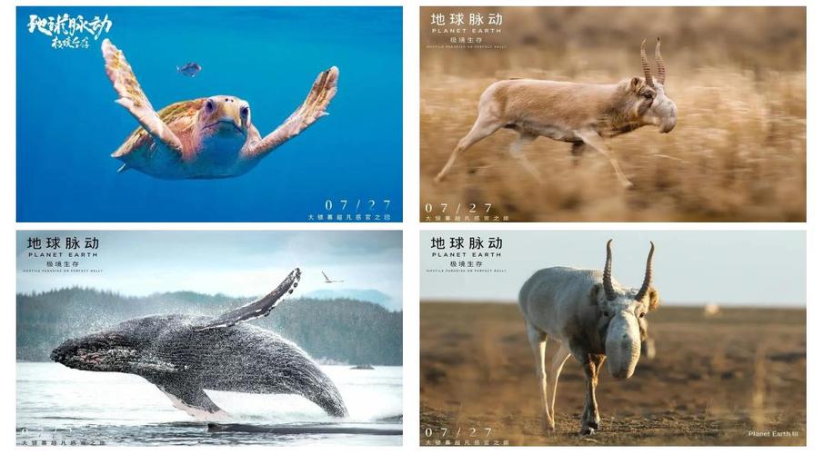 全球脉动，我们如何预见未来潮流的变革？