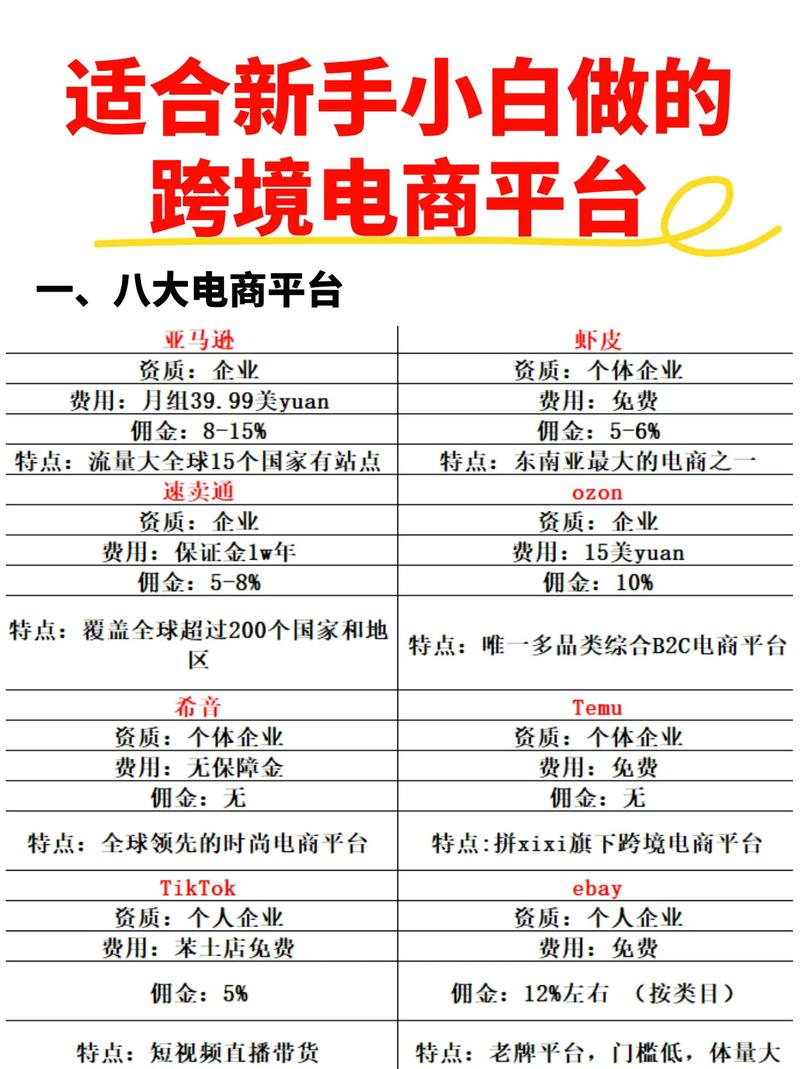 哪个跨境独立站平台更适合新手运营，容易上手？