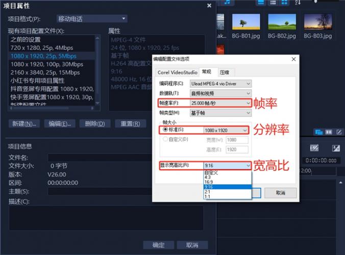 会声会影项目格式有哪些具体差异？