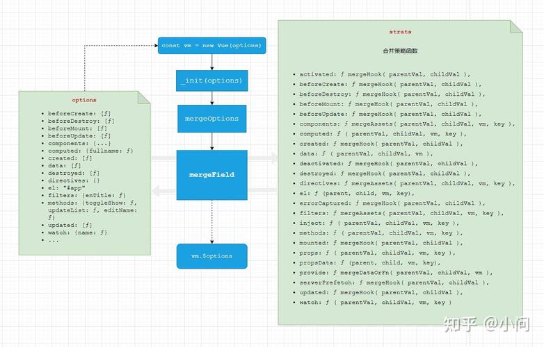 Vue的Options用法有哪些具体细节和技巧？