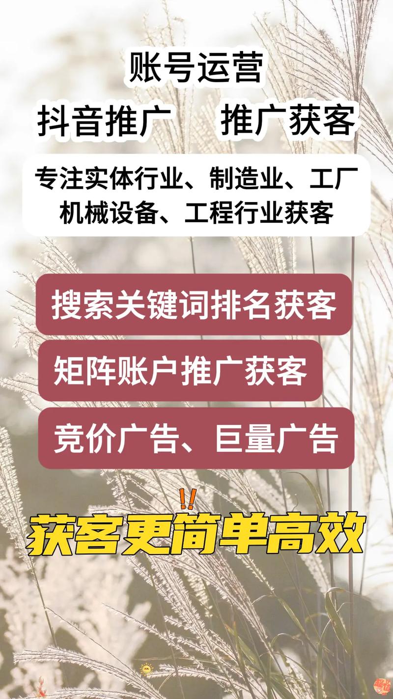 桥头SEO优化，如何实现高效价格透明化？