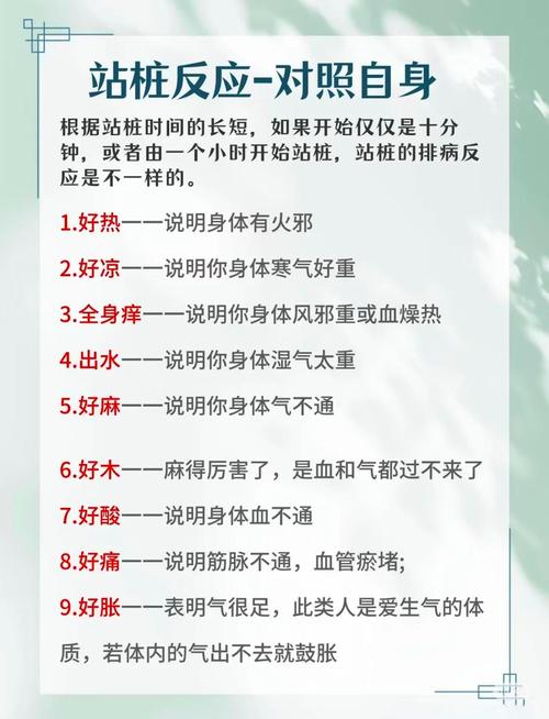 如何通过15分钟站桩功与独立守神，轻松实现每日内在平静，节省万元焦虑开销？