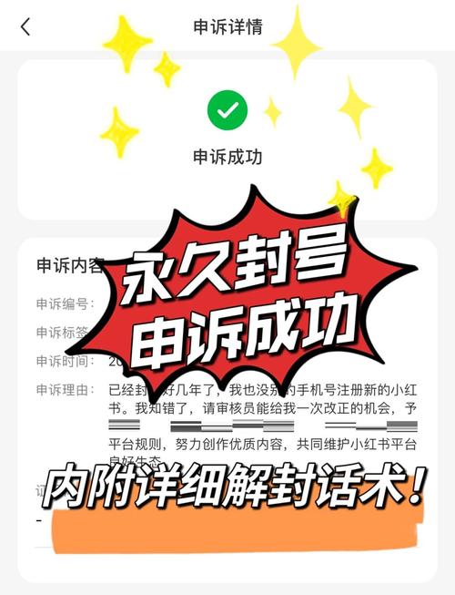 网站被降权后如何有效申诉以恢复权重？