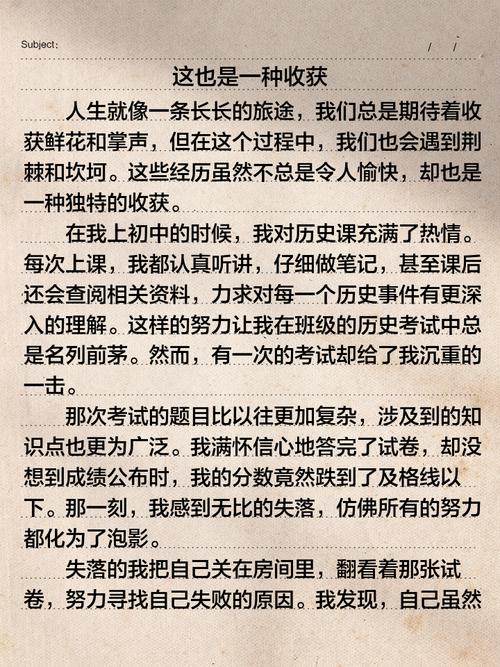 2025年小何的哪些收获值得被铭记？