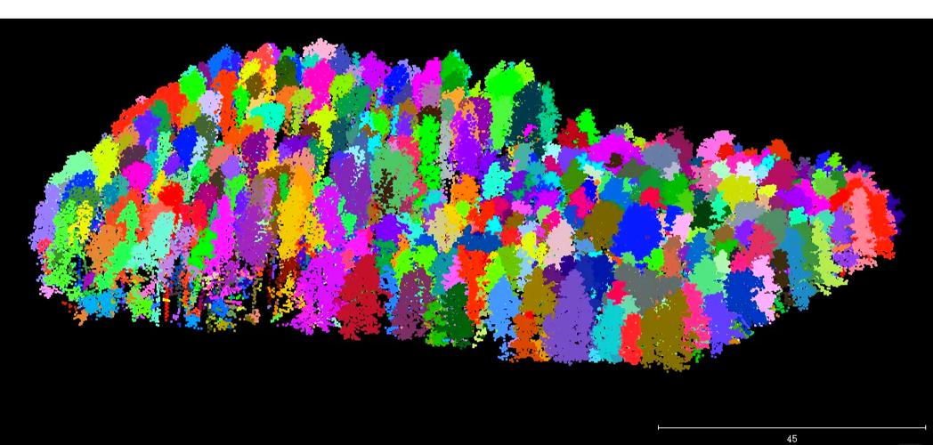 如何使用Qt 5.9结合VTK技术详细展示和操作点云数据？