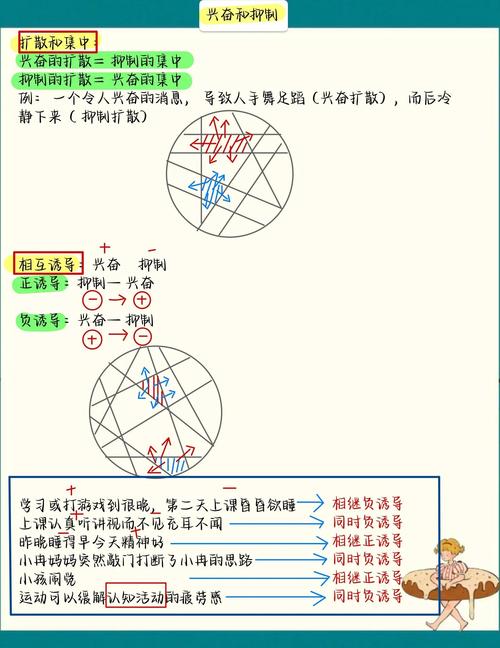 请解释反射的基本概念及其基本使用方法？