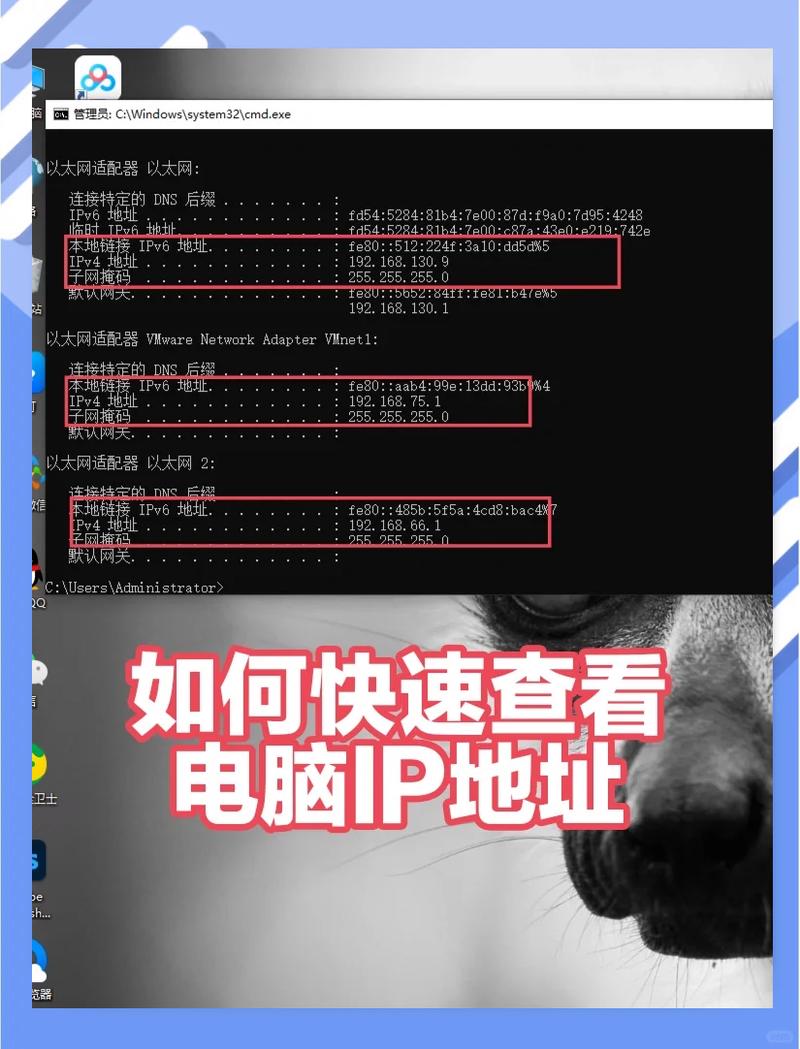 如何通过ASP.NET实现基于geoIP查询用户所在国家/地区的长尾关键词查询？