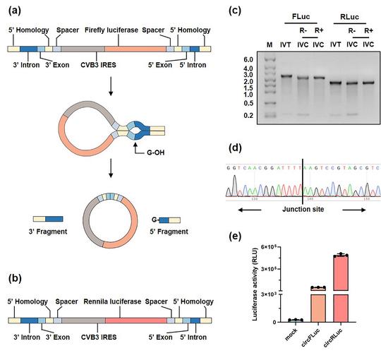 This scope lacks declaration for 'memset' function?