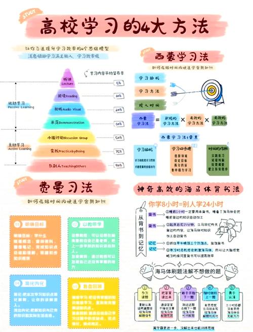 如何高效掌握最佳实践与技巧精粹？