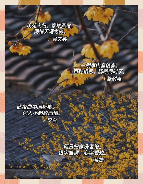 夜深年过，那首小辞送给远方的学妹，你们在外漂泊，都过得好吗？